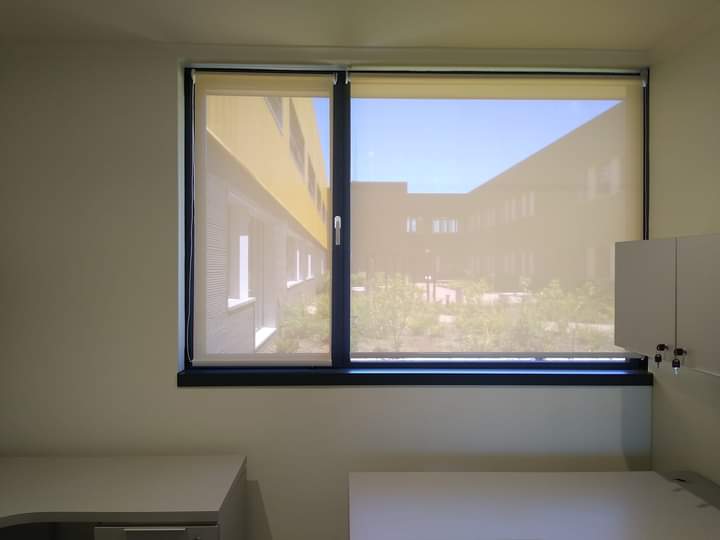 Oficina Ejecutiva